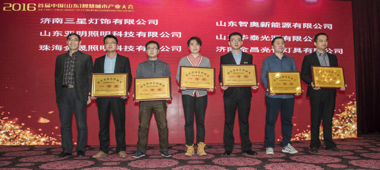 我公司創(chuàng  )意的燈光雕塑作品榮獲首屆山東省綠色照明獎(圖2)